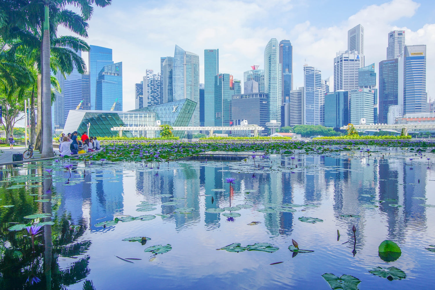 Singapore Renovation: Sustainable Ideas for HDB Flats and Private Apartments